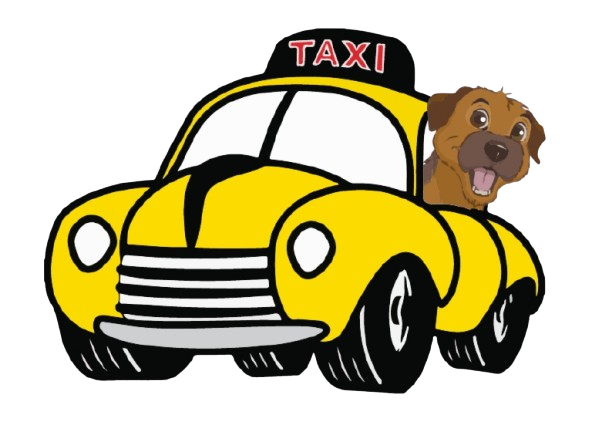 Pets drop taxi